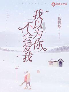孤独的流浪者救援